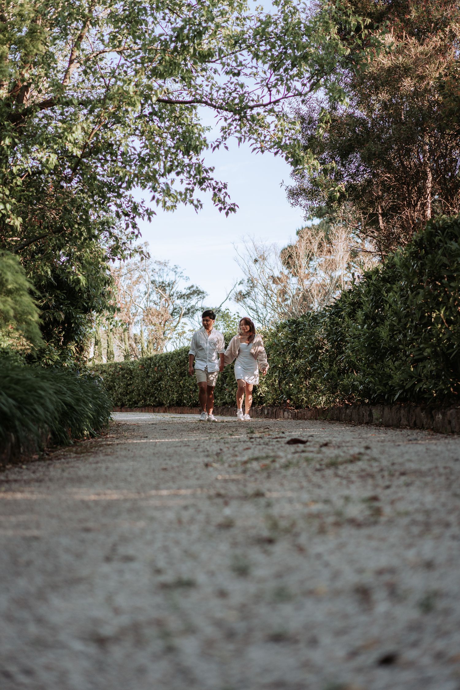 A low-angle view of two people walking on a curved garden path surrounded by green hedges.