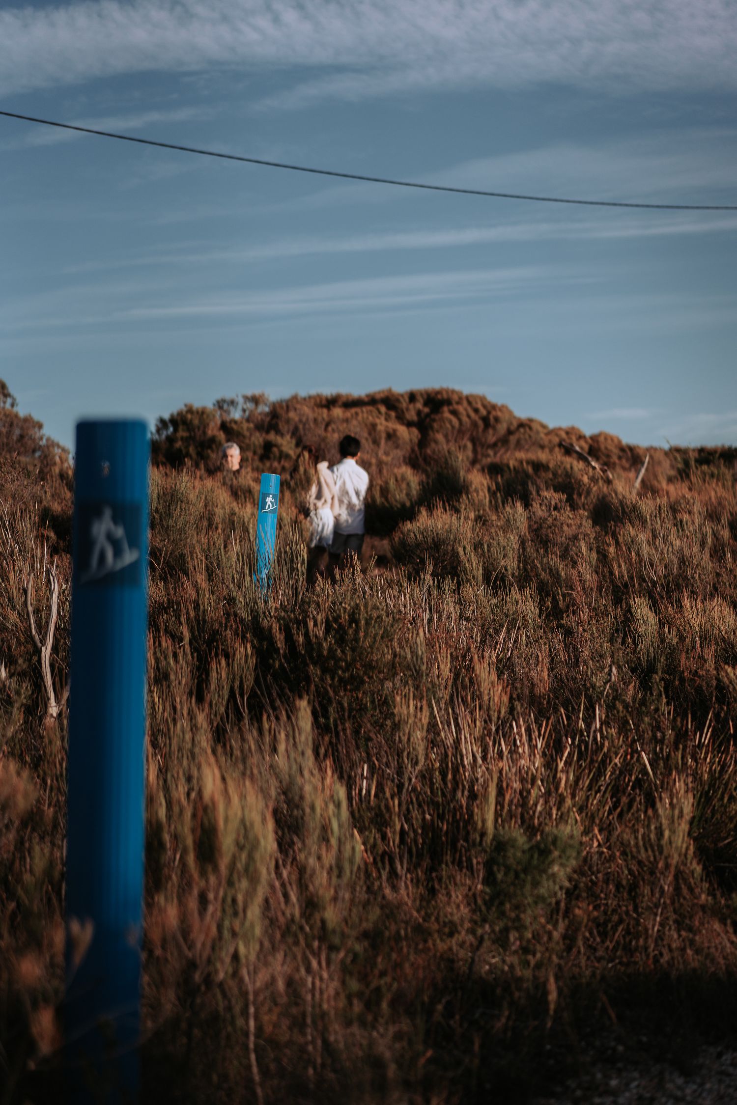 A couple walks among dried brush on a hillside with blue poles and overhead wires.
