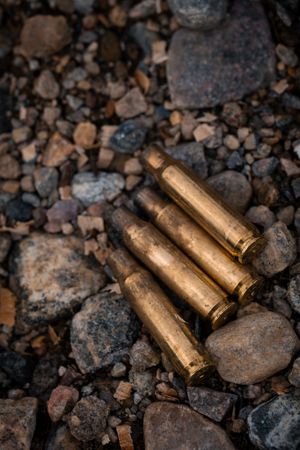 Four brass bullet casings lying on dark rocky ground with small stones and pebbles scattered around.