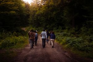 A group of people walking together on a forest trail during golden hour sunset.