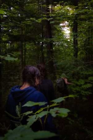 People hiking through a dense forest with green foliage and filtered sunlight creating a moody atmosphere.