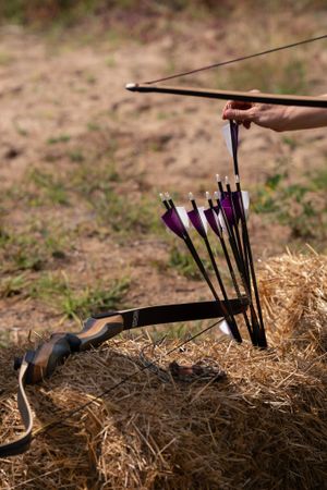 Purple-fletched arrows rest in a quiver beside a held bow against hay bales during archery practice.