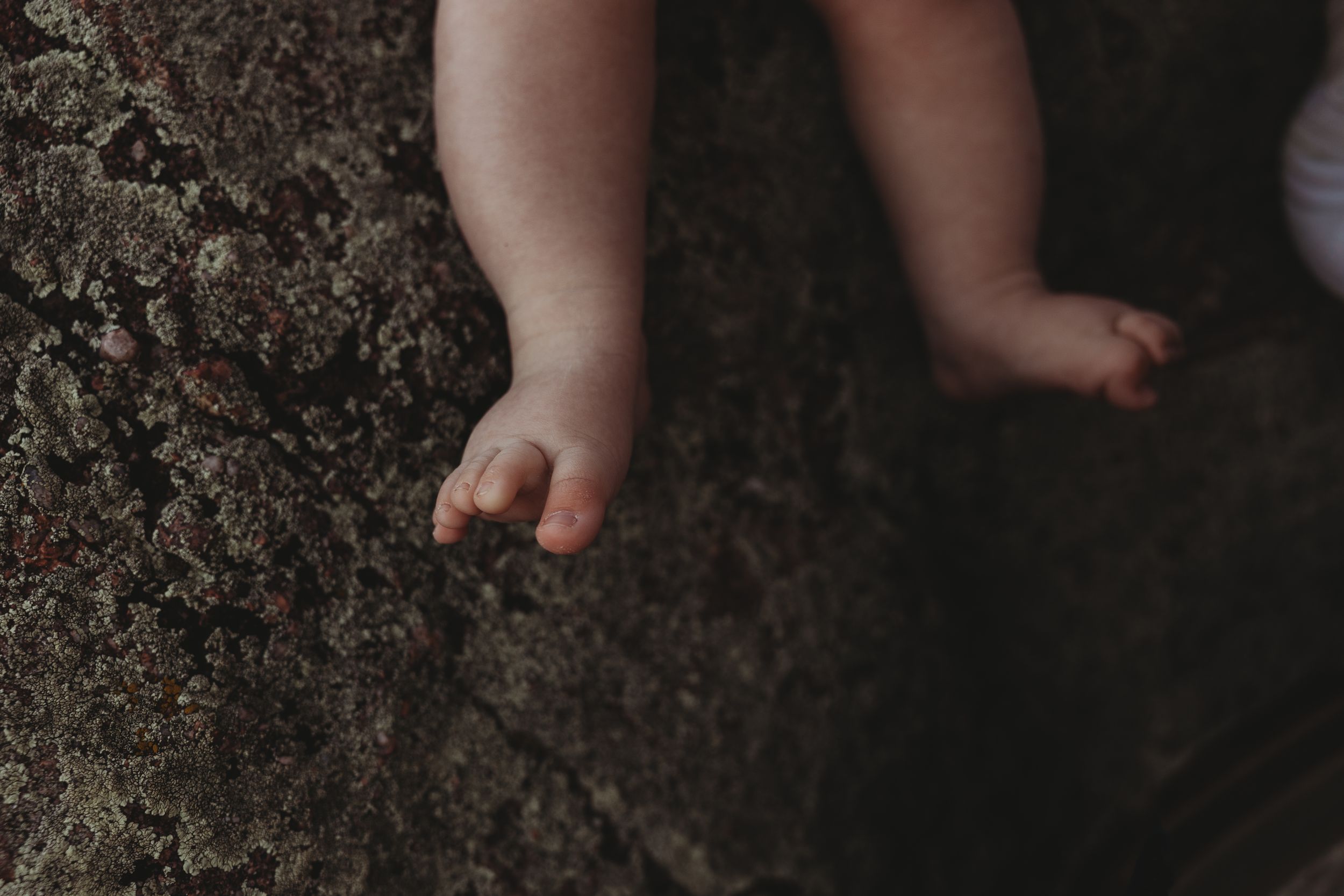 Detail photograph of Evergreen family photo session