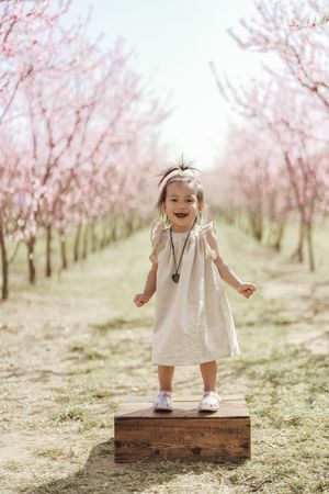 Small child in white dress stands joyfully on wooden box amid blooming spring peach orchard on sunny day.