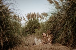 Ornamental pampas grass plumes sway in golden sunlight against a blurred natural backdrop.