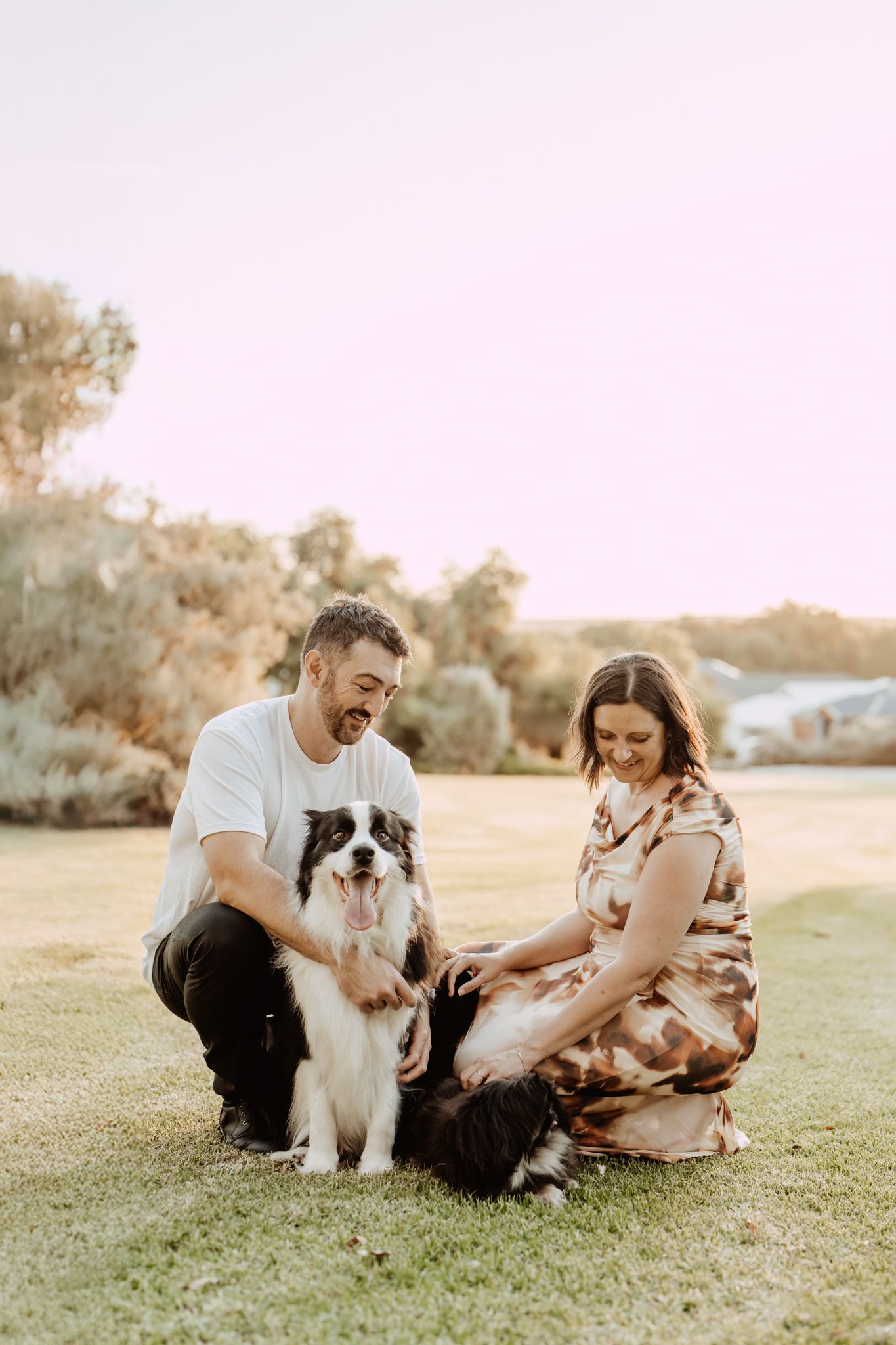 Couple sitting on grass at sunset playing with their Border Collie and Cavalier King Charles Spaniel dogs.