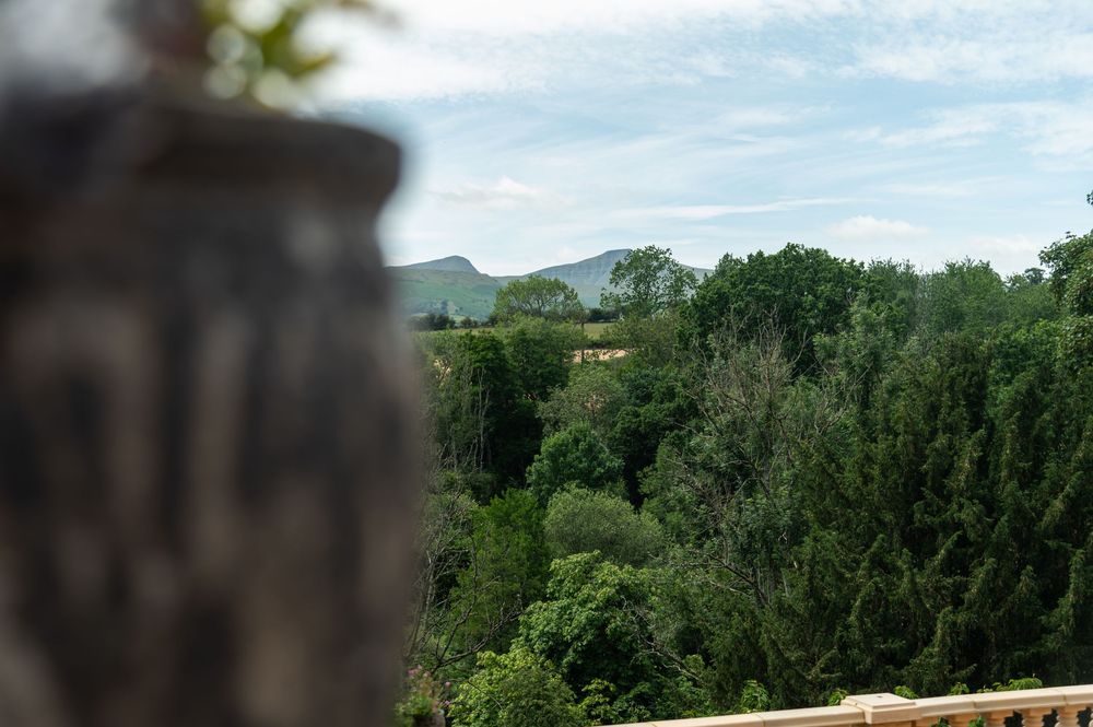 Scenic mountain landscape view with trees and greenery stretching into the distance.