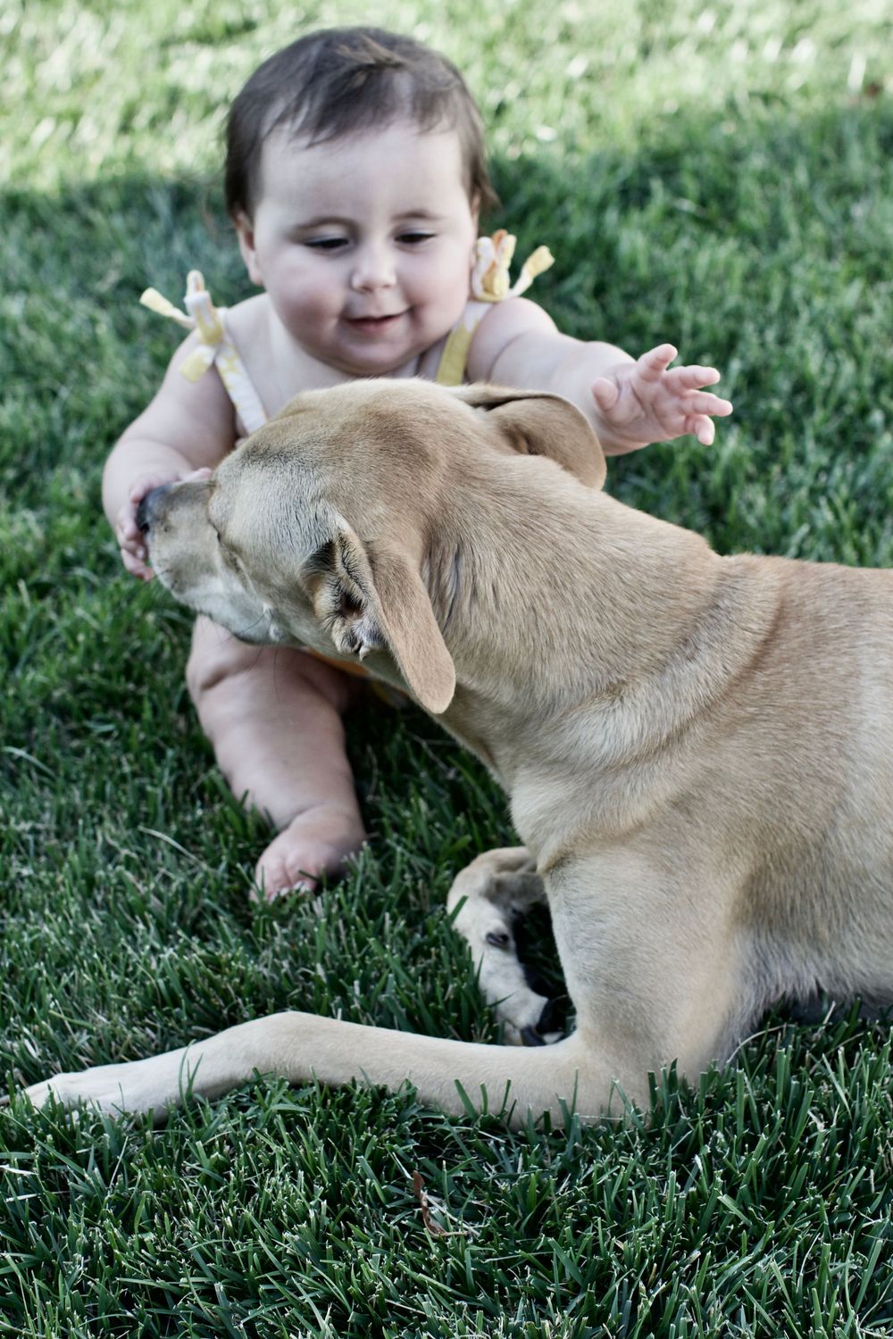 baby and her dog getting photo together