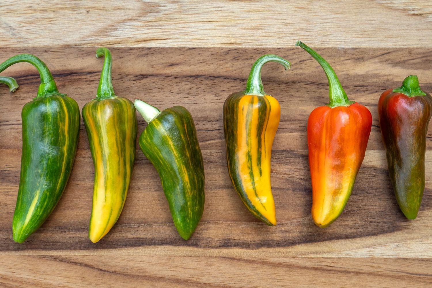 Collection of colorful chili peppers arranged in gradient order on wooden surface.