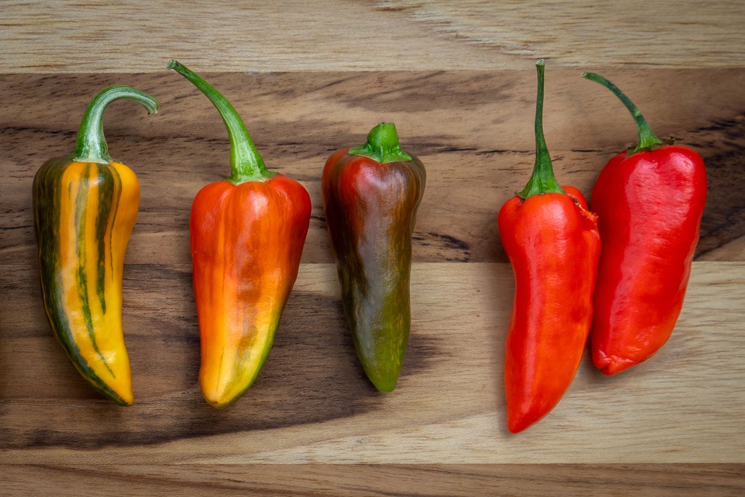 Colorful assortment of fresh chili peppers arranged in a line on wooden surface.