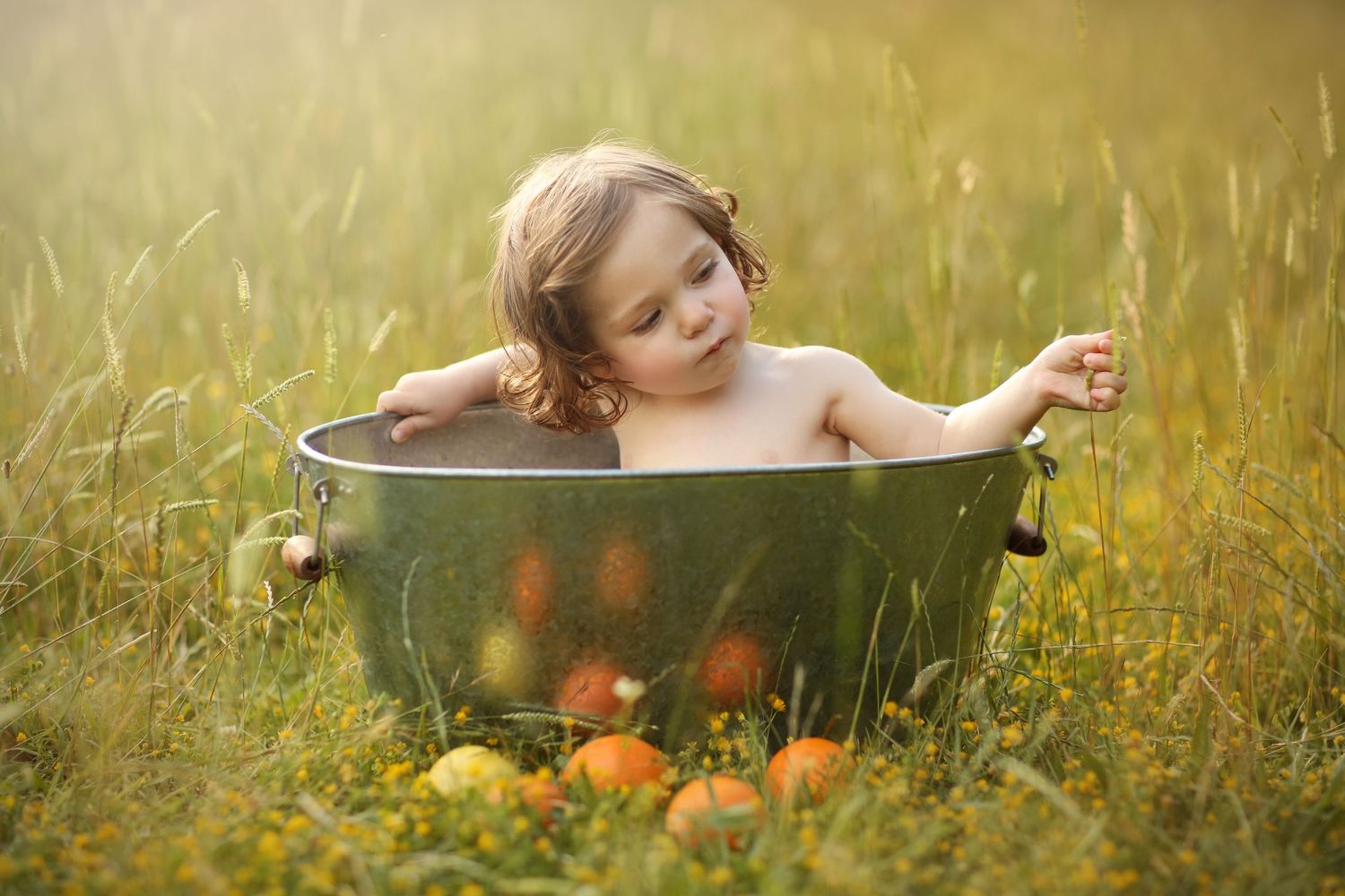 Young child sits outdoors in a vintage washtub surrounded by vibrant wildflowers in a golden summer meadow.