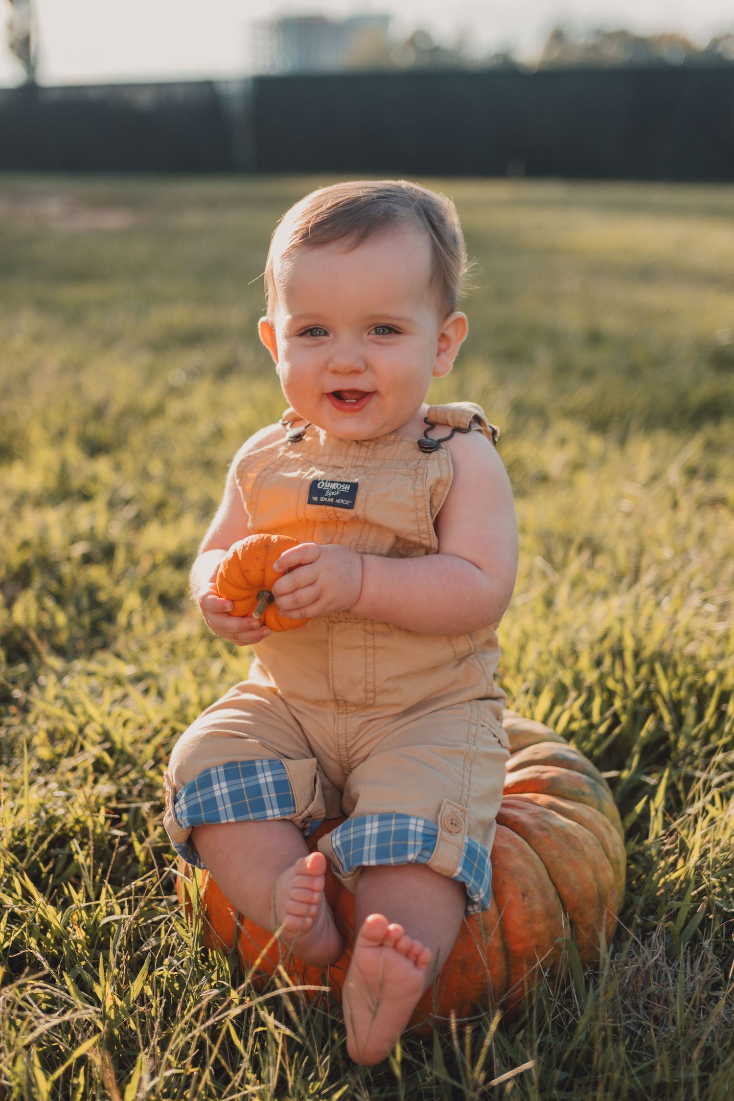A small child in overalls sits on a pumpkin in a sunlit field during golden hour.