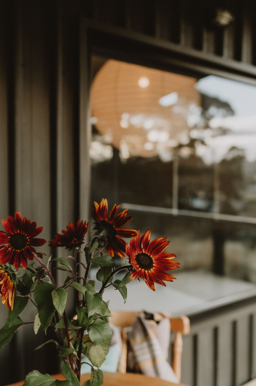 Air bnb content shoot at Old Orchard Farm Stay in the Huon Valley, Tasmania. Captured by Joss Jensen Photography