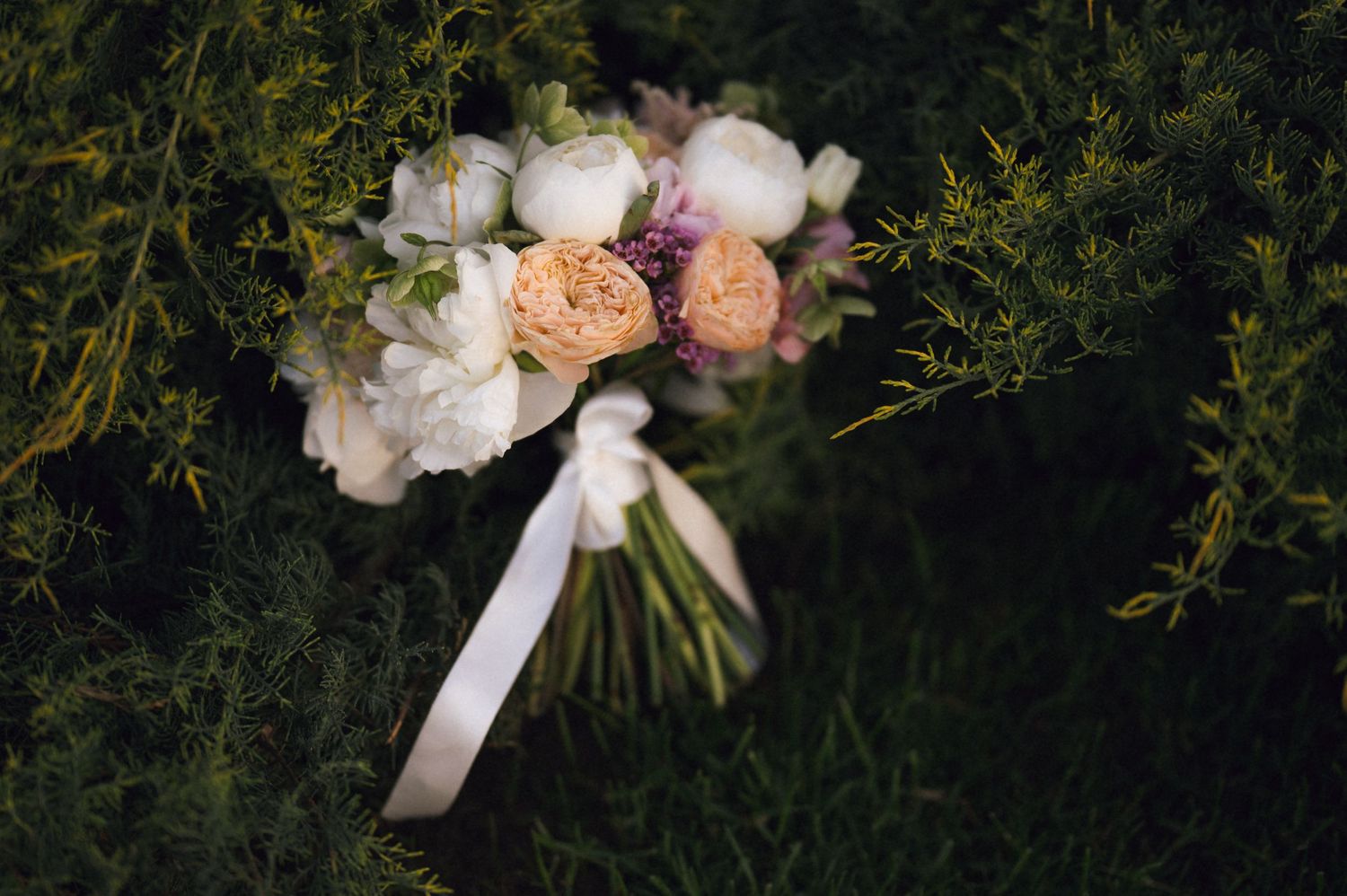Elegant bridal bouquet with white peonies and peach roses tied with white ribbon, resting on lush green foliage.