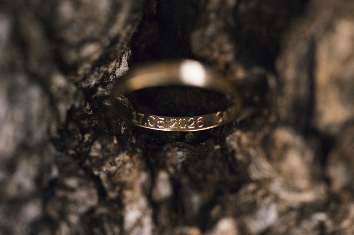 Gold wedding band engraved with date 17.05.2025 resting in tree bark crevice, close-up detail shot.