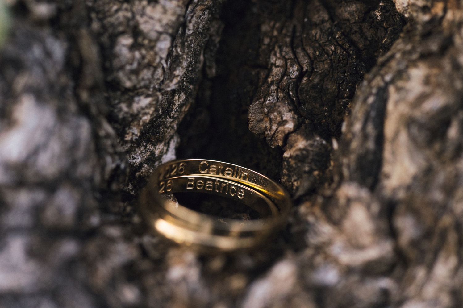 Two gold wedding bands with engraved text rest in a tree bark crevice, symbolizing eternal love and commitment.