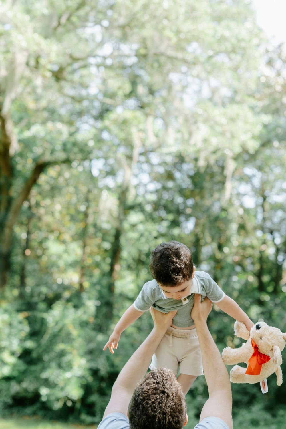 A parent lifts a smiling toddler holding a teddy bear high in the air outdoors in a lush green park.