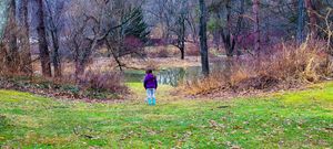 A lone child stands in a grassy park clearing surrounded by bare autumn trees and a tranquil pond in the background.