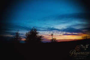 Dramatic blue and orange sunset silhouettes trees and street lamp on rural horizon at dusk.