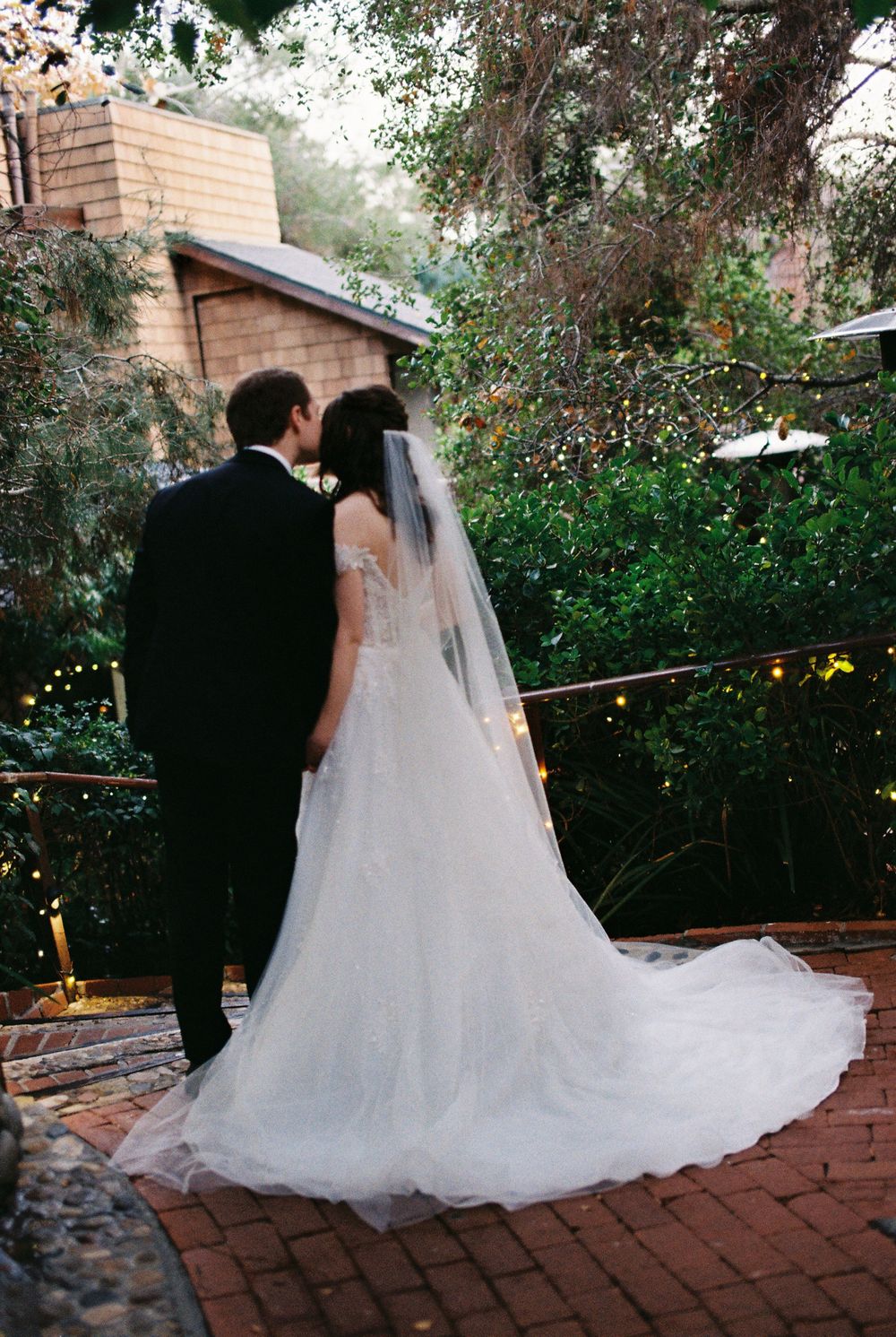 A couple shot on film kisses in greenery and lush forest venue.