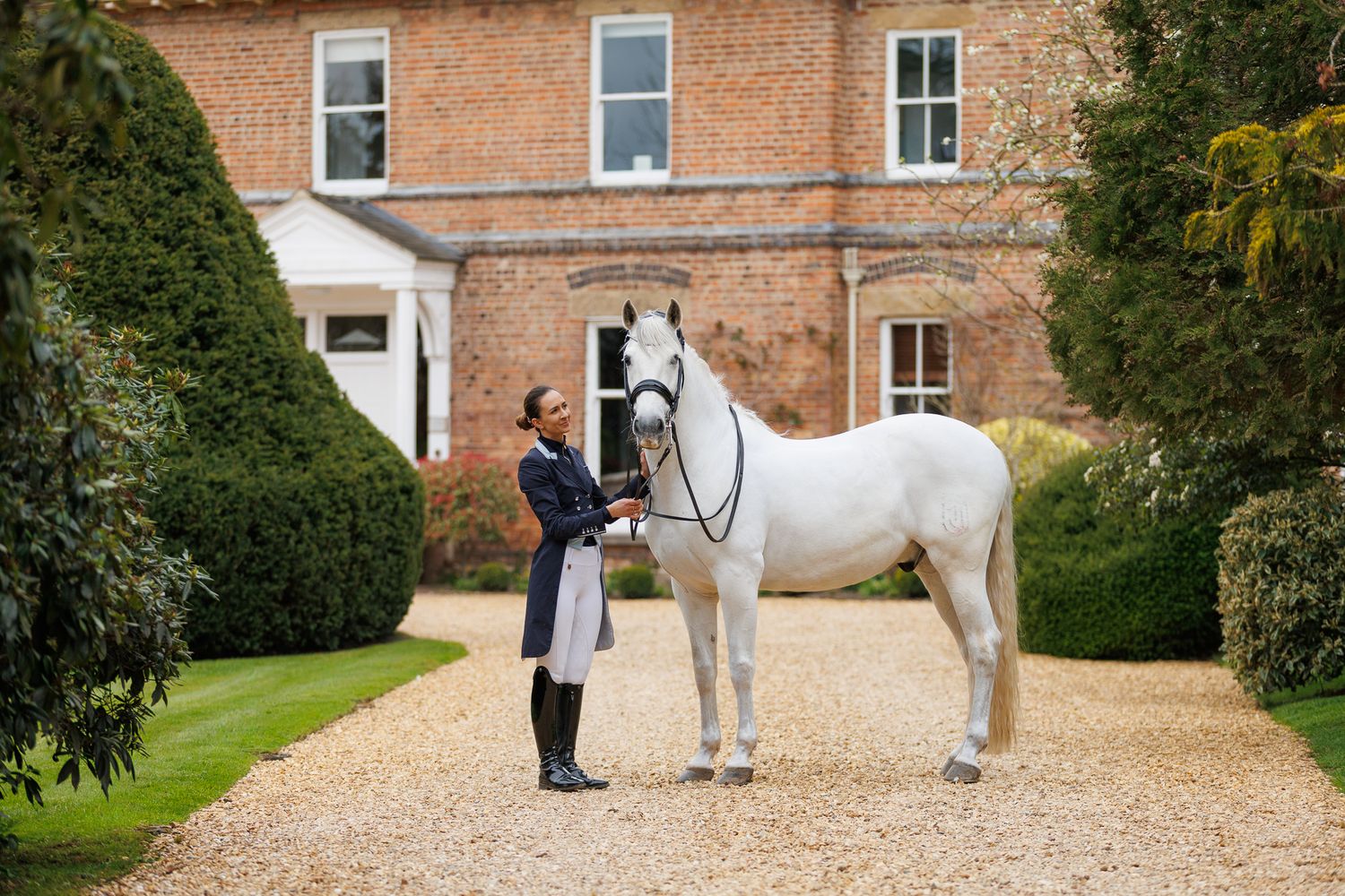 A series of seven photos showing a white horse and rider interacting at a wooden fence in an outdoor setting.