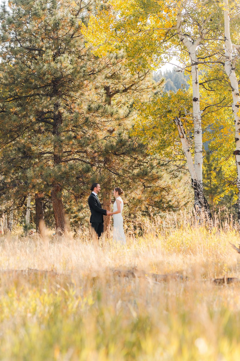 Bride and groom stand together in sunlit field surrounded by golden autumn aspen trees.
