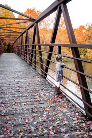Fall Family session daughter standing on bridge looking at the colours