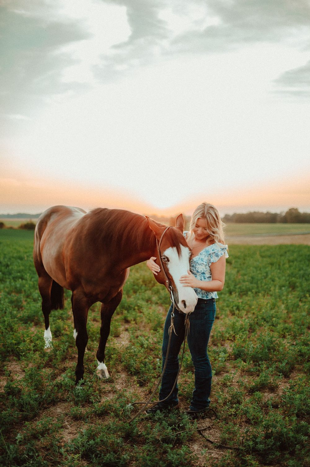 A brown horse and person stand together in a green field at sunset with soft lighting and dreamy atmosphere.