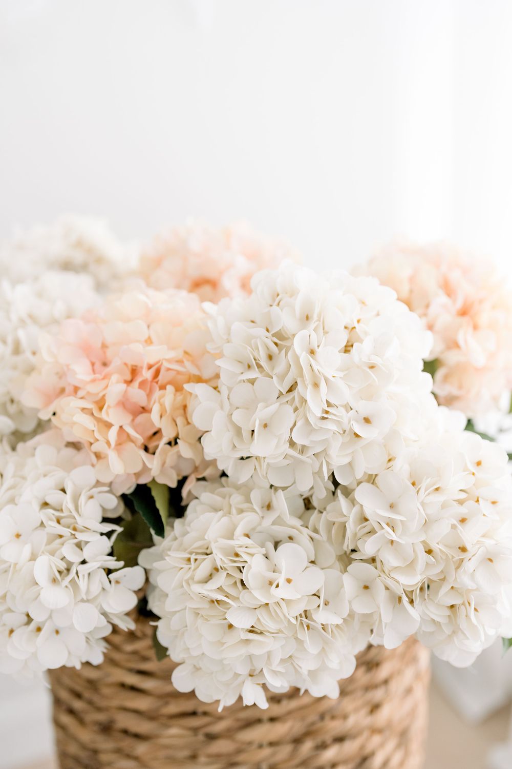 Bouquets d'hortensias blancs délicats pour personnaliser l’ambiance d’une séance premier anniversaire avec gâteau au studio de Québec