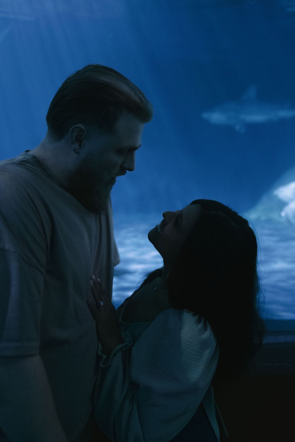 A romantic silhouette of a couple in an intimate moment against a moody blue evening sky background.