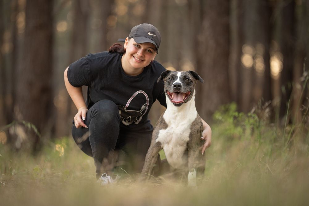 A person and their happy mixed dog sit together in a sunlit forest. They share a close bond and are cuddling.