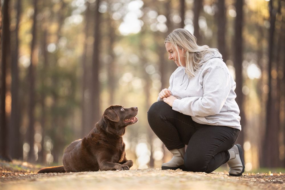 A girl and her chocolate Lab looking at each other with a lovely soft bokeh forest background.