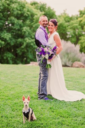 Two small dogs in bow ties sit on green grass while a couple poses in wedding attire in the background.