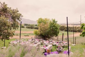 Panoramic view of a rural landscape with rolling hills, scattered trees, and purple wildflowers in the foreground.