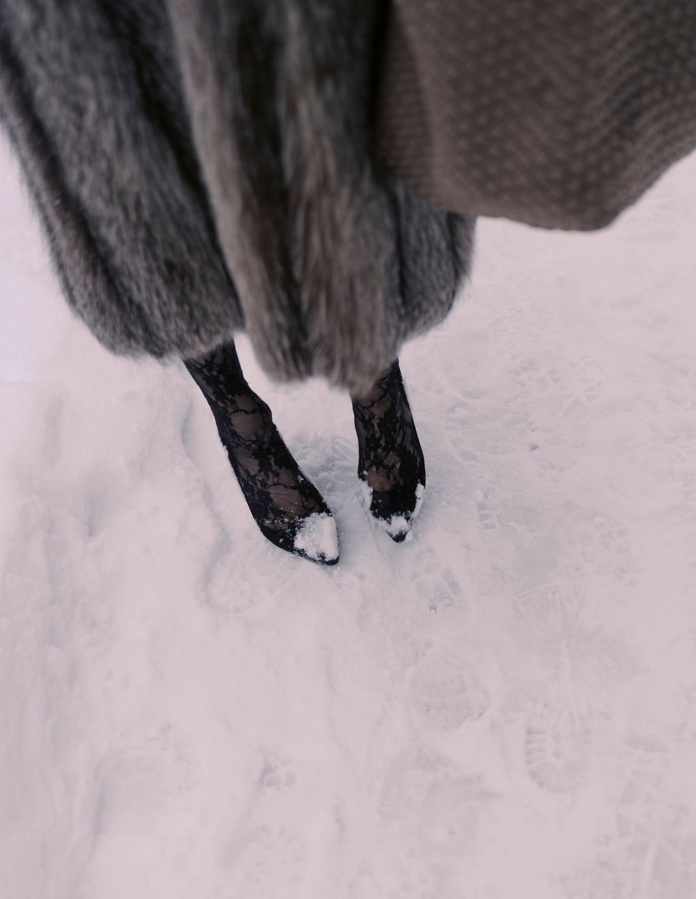 Close-up of black dog paws making prints in fresh white snow during winter.