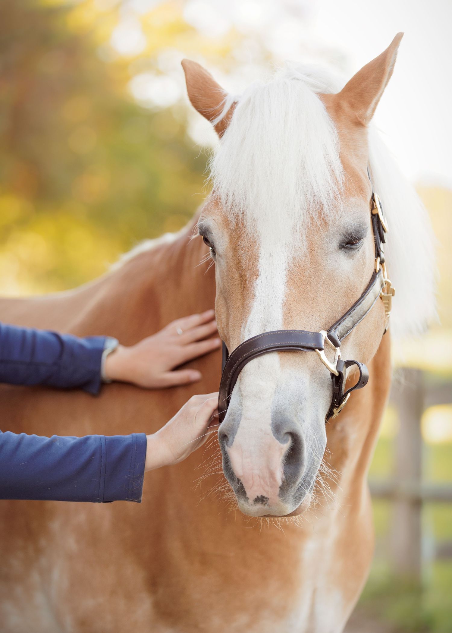 Liefdevolle paardenfotografie Twente - LivHoomansPhotography