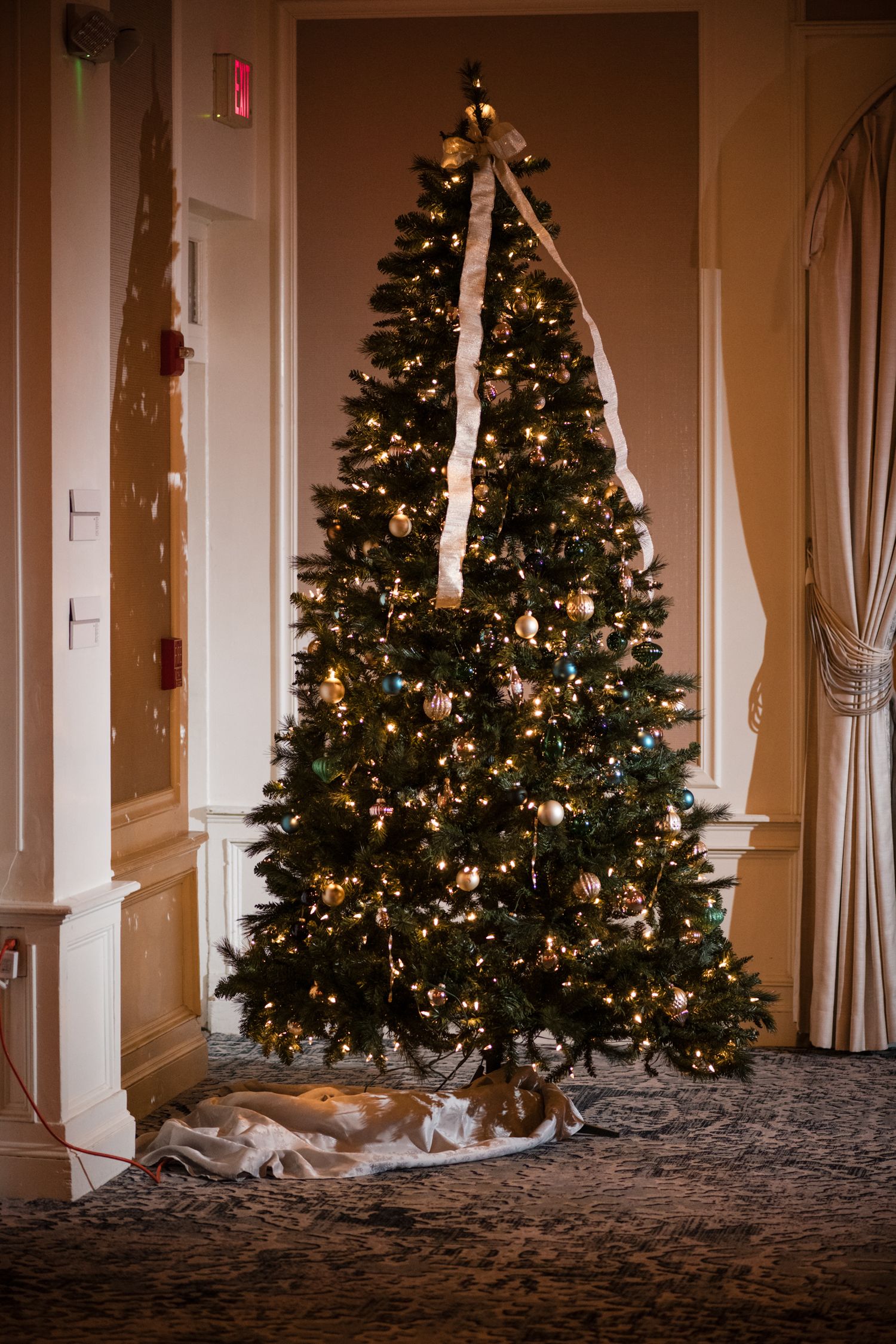 A decorated Christmas tree with twinkling lights stands elegantly in a corner while a cat rests peacefully beneath it.