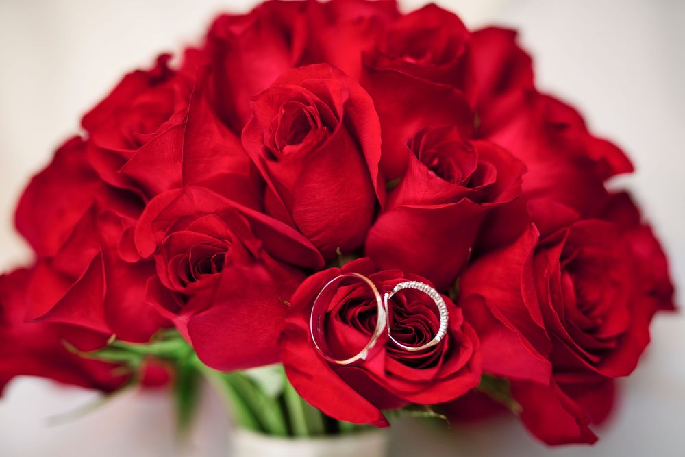 Two silver wedding rings resting on vibrant red roses in a romantic bouquet arrangement.