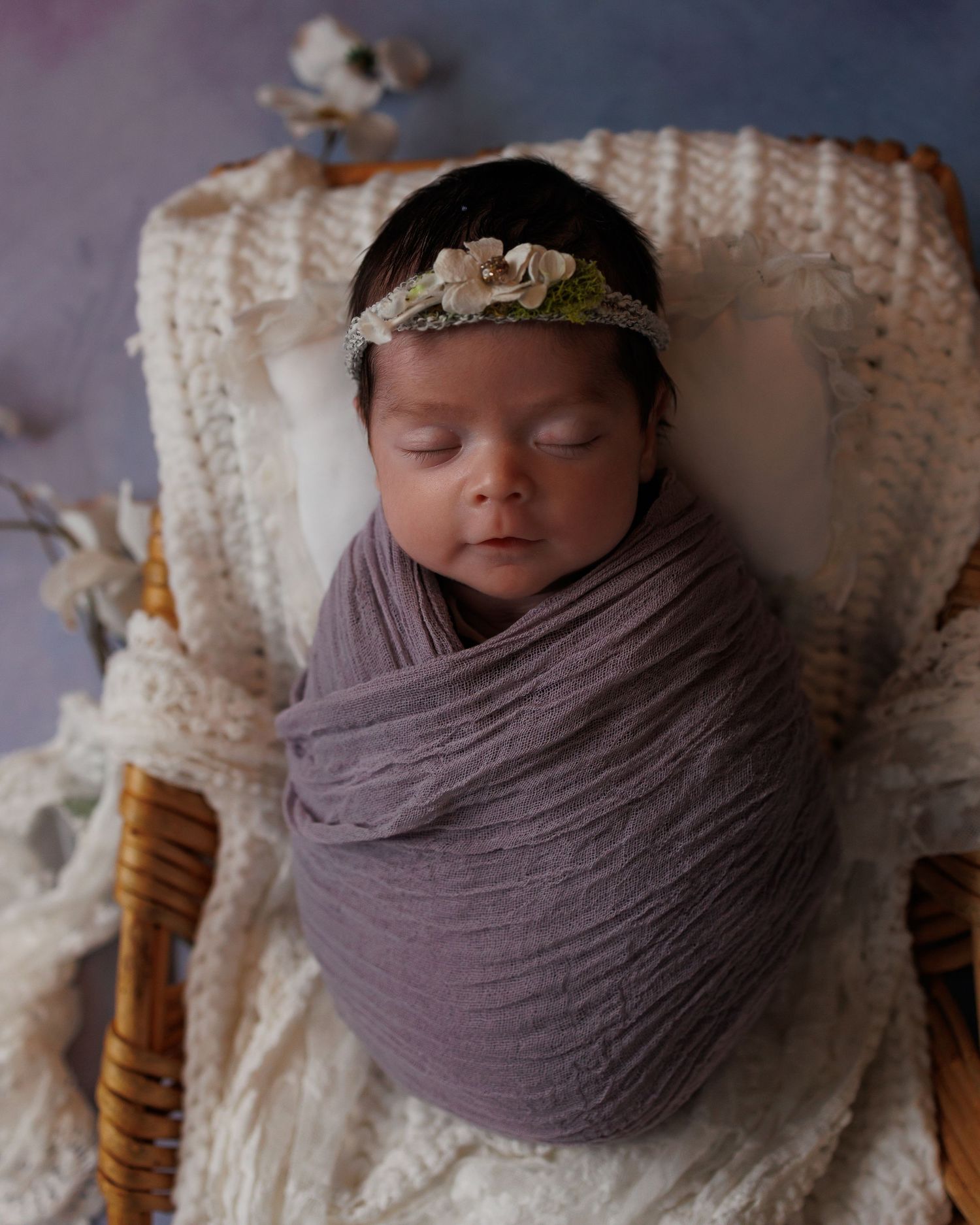 A newborn photography session features five similar poses of a sleeping baby wrapped in a soft mauve swaddle blanket.