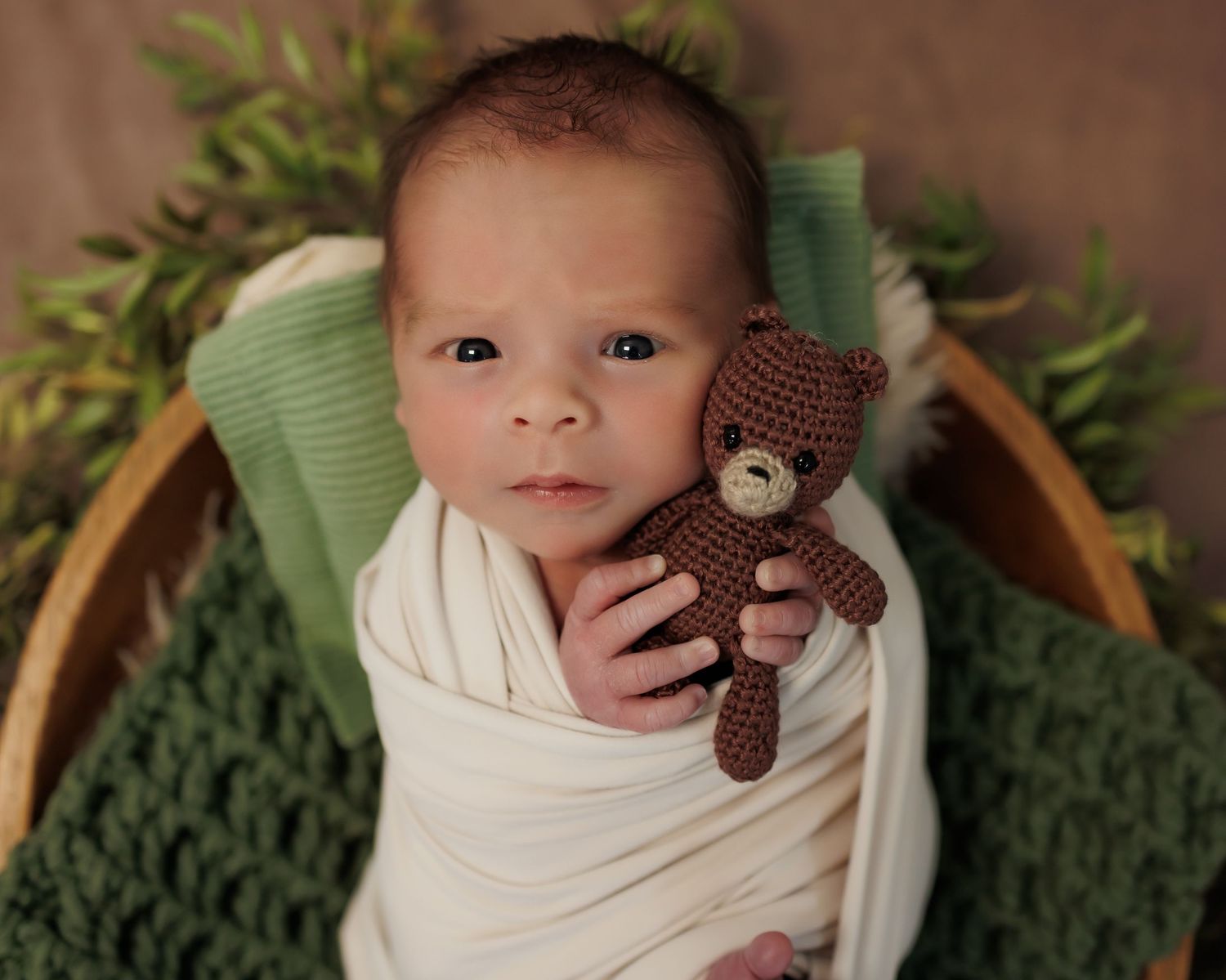 Newborn in white wrap holding brown teddy bear surrounded by green foliage in wooden basket.