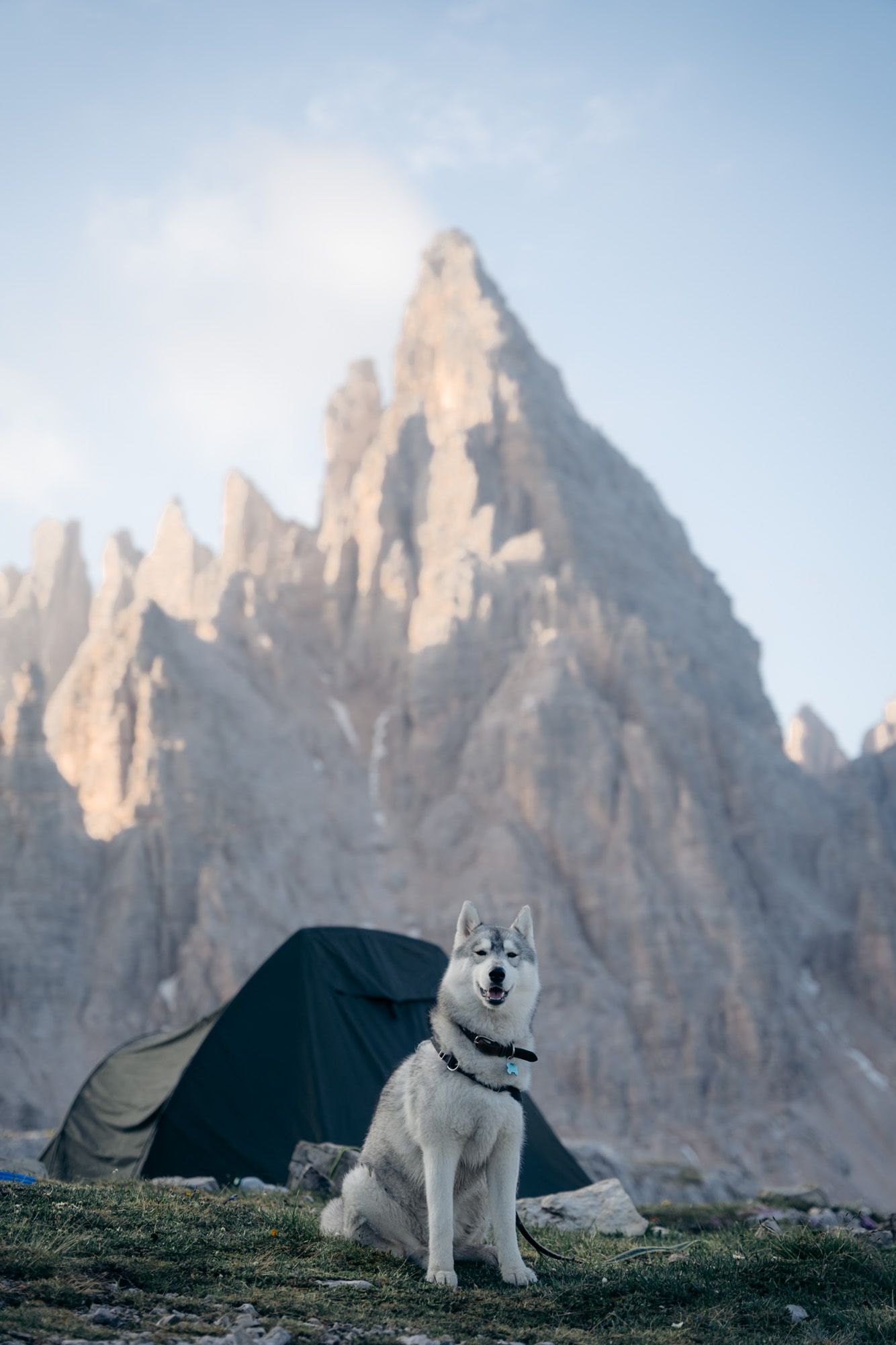 chien devant une tente de bivouac dans les dolomites
