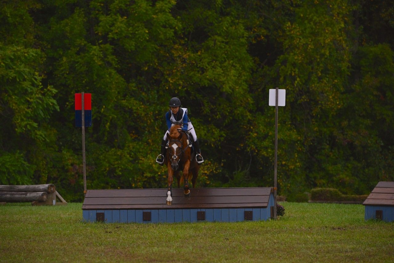 a chestnut horse and rider competing XC