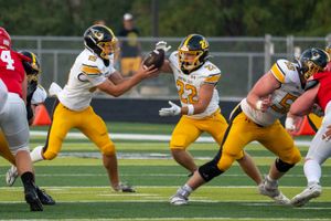 A football player in yellow and black uniform carries the ball during a game while teammates block opposing players.