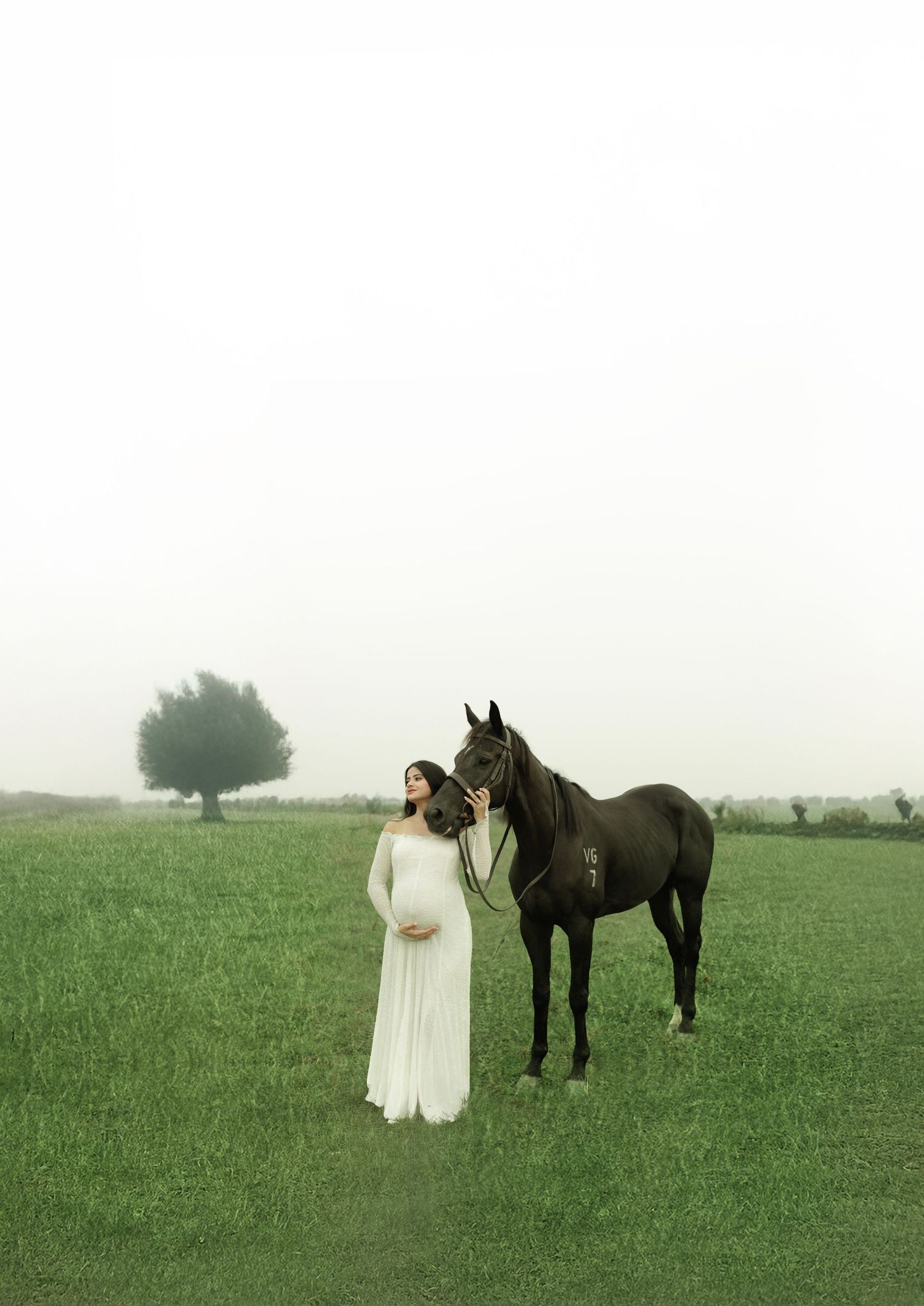 A serene maternity photo featuring a black horse and flowing white dress in a misty field.