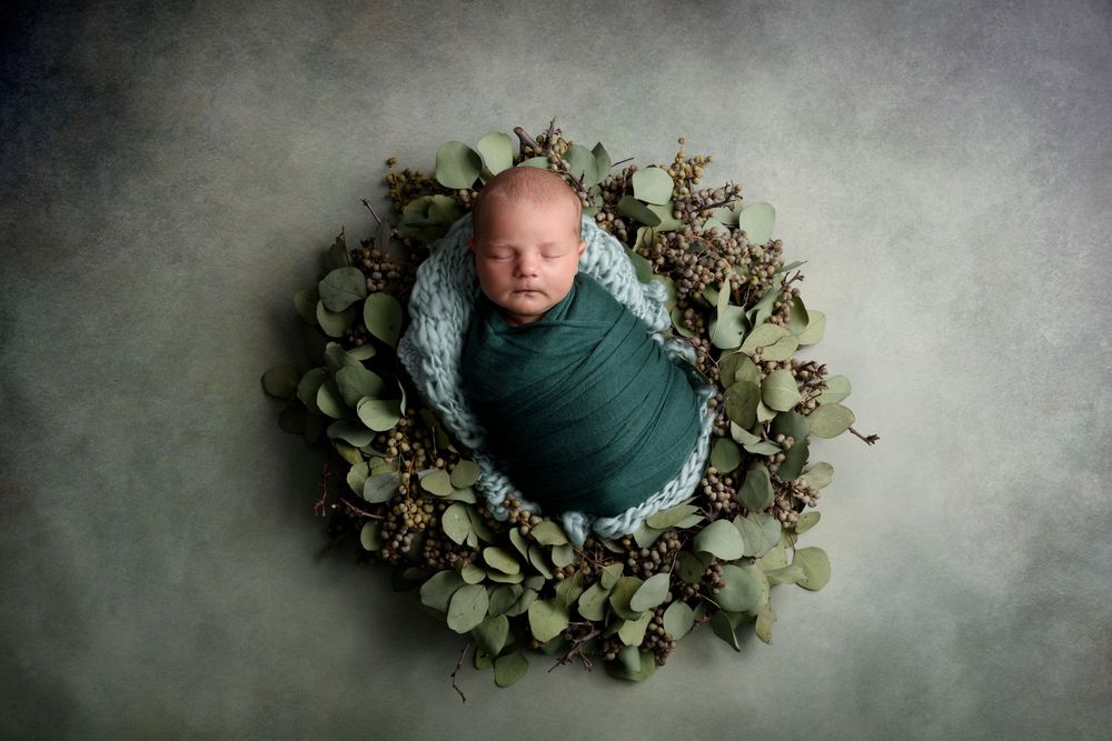 Swaddled newborn surrounded by delicate eucalyptus leaves in artistic overhead composition.