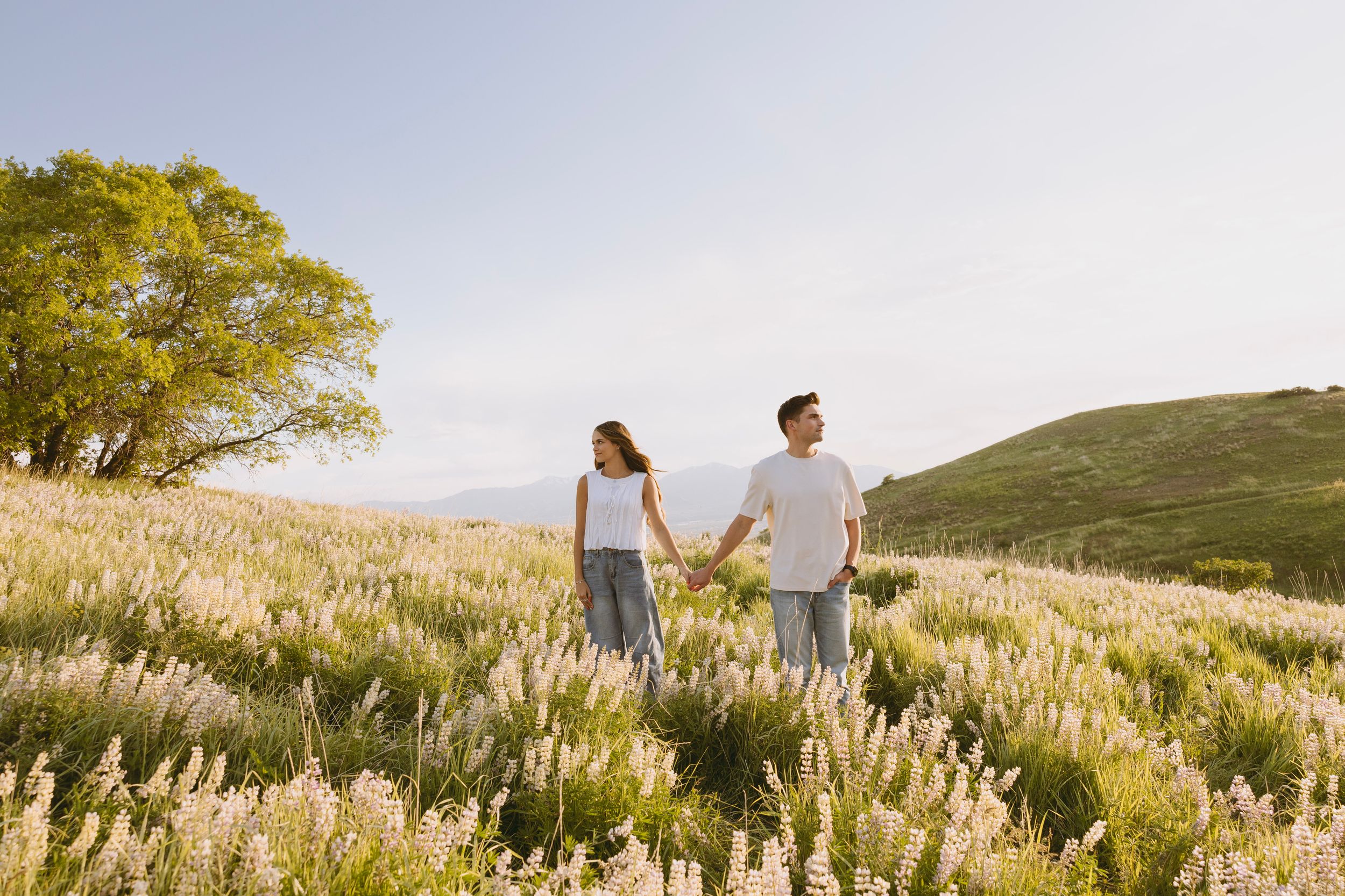 A couple walking hand in hand through a sunlit meadow filled with golden pampas grass at sunset.