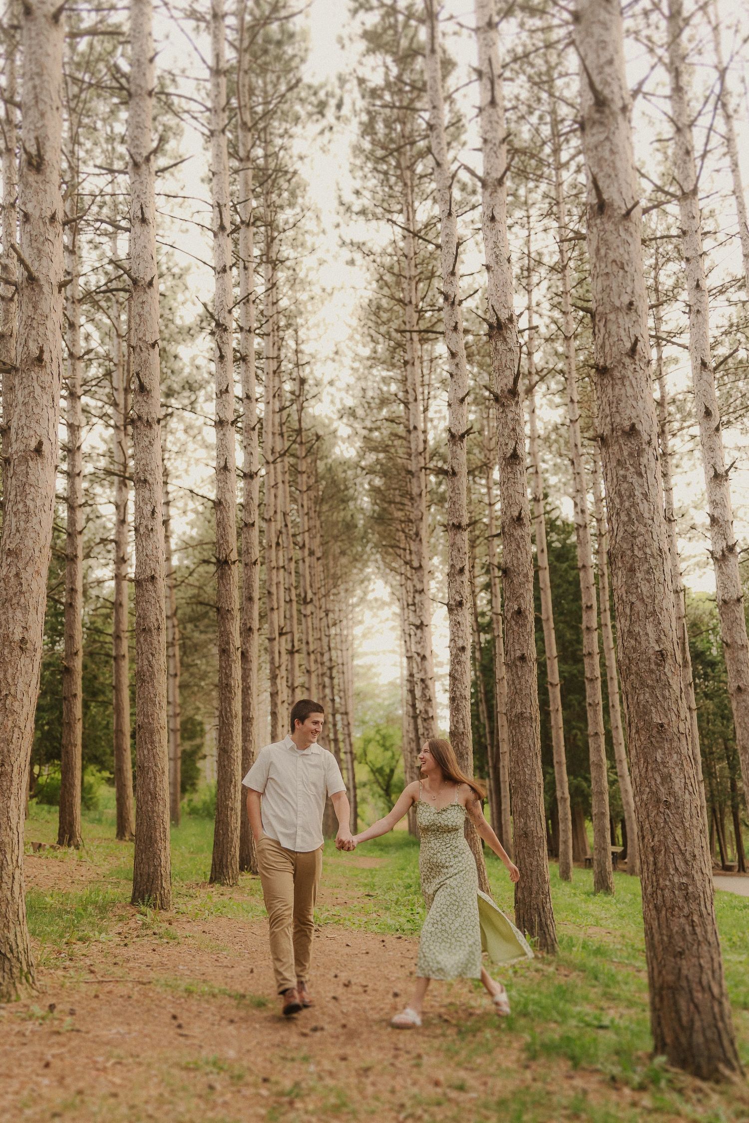 A couple walks hand in hand through a forest path lined with tall pine trees creating a magical tunnel effect.
