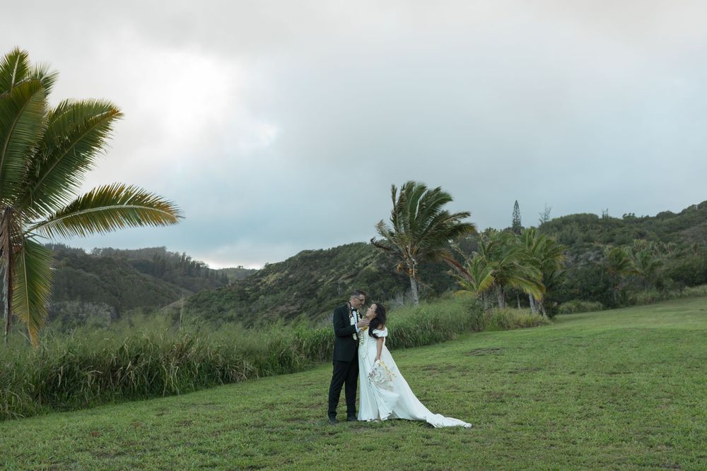 Wedding couple walks through a beautiful tropical landscape with palm trees and ocean views in Hawaii.