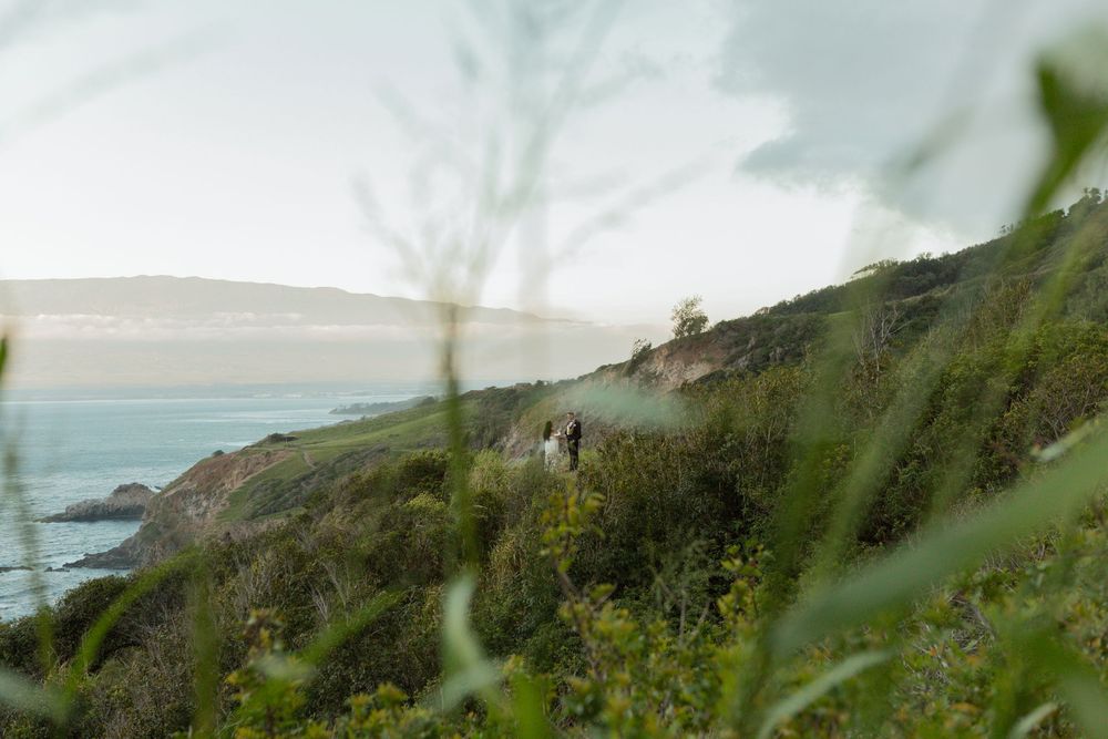 Coastal hiking trail overlooking a misty ocean bay with green vegetation in the foreground.
