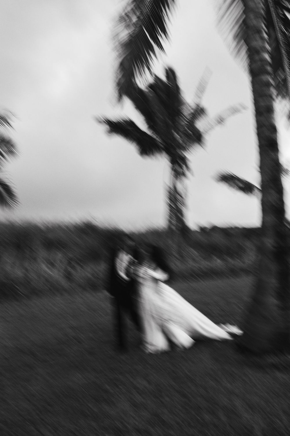 A motion-blurred black and white photograph shows palm trees swaying against a cloudy sky in an artistic composition.